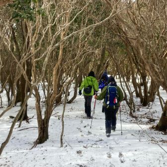 もう少し行きます