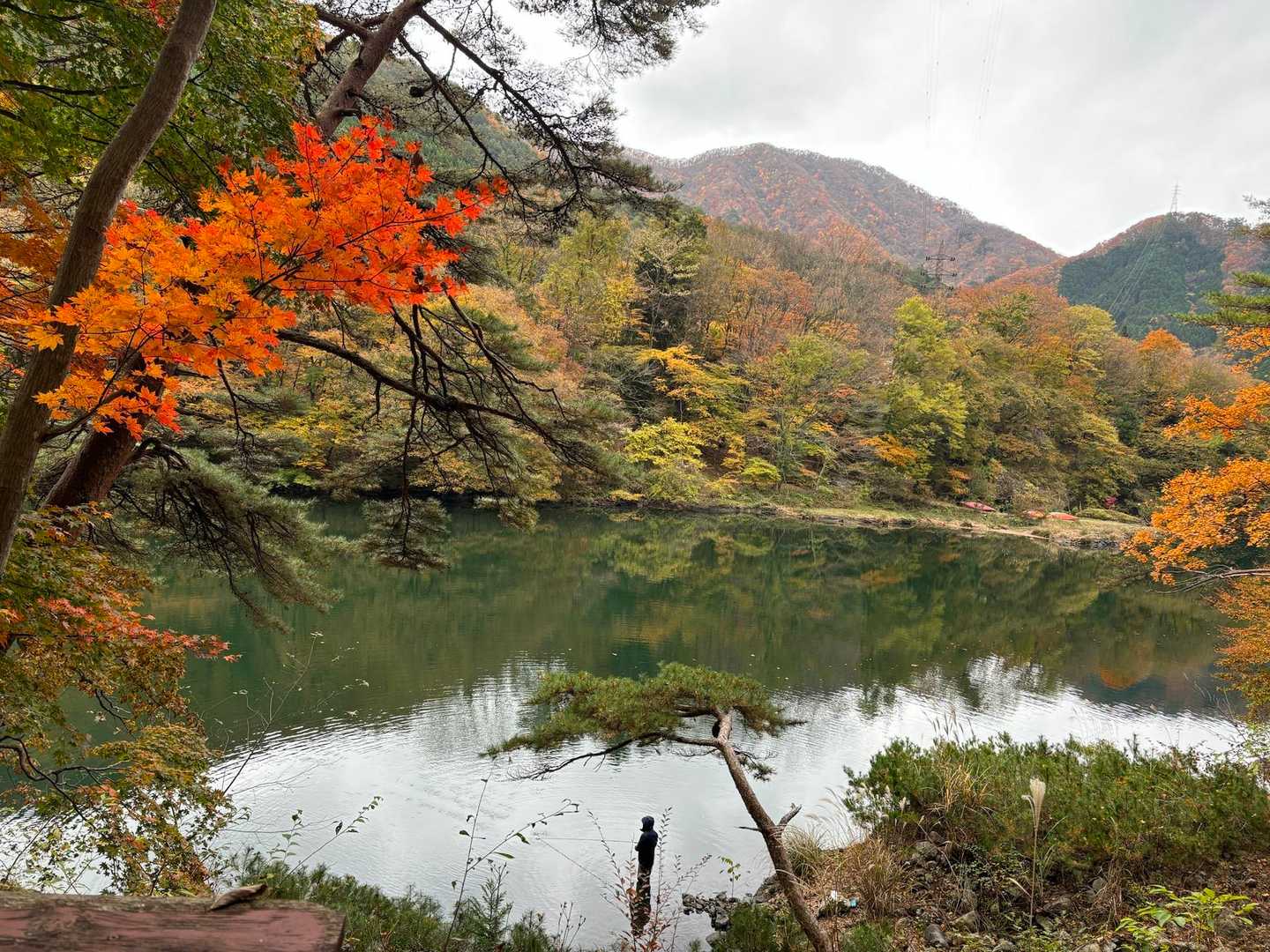 鬼怒川沿いに戻りました✨