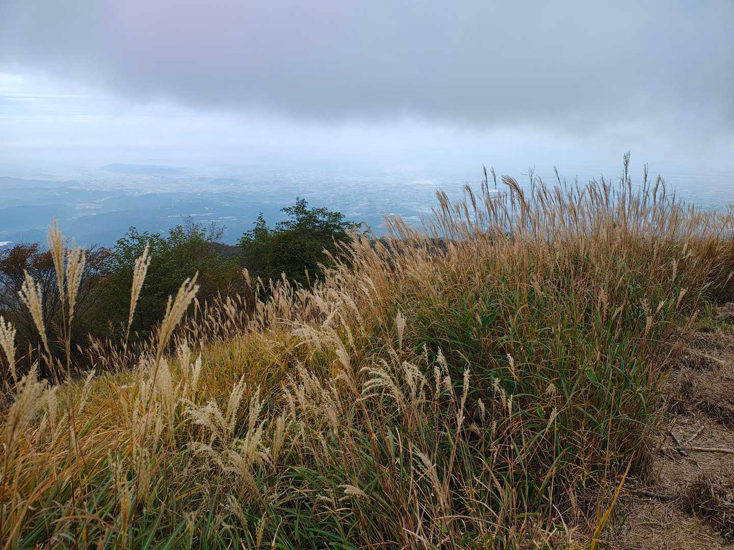 秋です!🌾