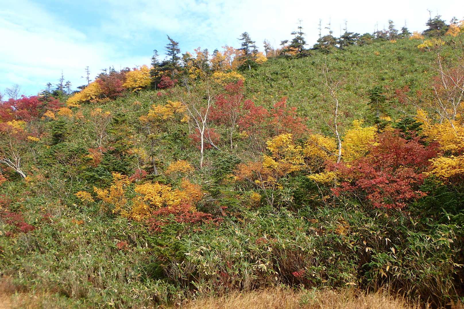 風吹大池に着いた。
斜面の紅葉がきれい。