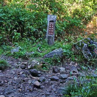長助池分岐
ここにベンチあるよ。
というか、ここに来るまでの登山道が荒れててびっくり‼️
何回木に頭ぶつけたり、滑ったりしたことか…
滑落事故有の看板あったけど、看板立てる前にやることがあるのでは？と思ってしまった…
