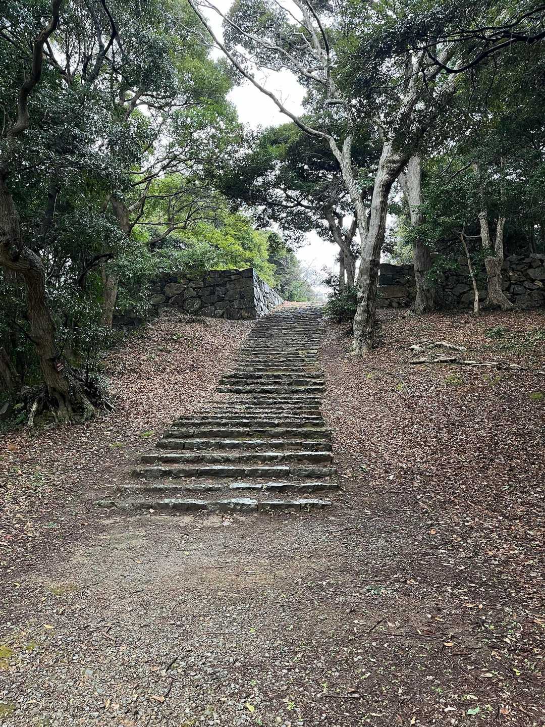 内膳丸へ、初めて行ってみる