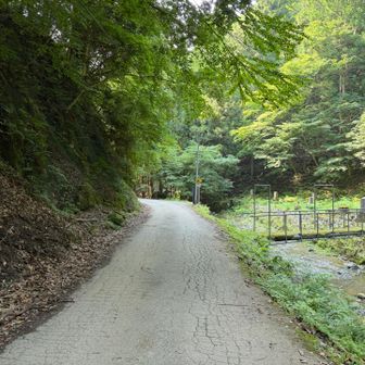 登山口までは少し車道を歩きます
