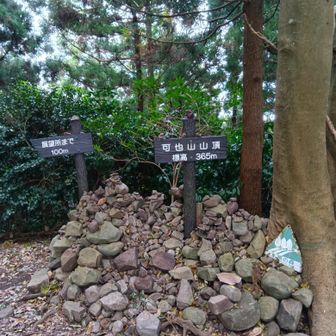 ピーク！
石がいっぱい