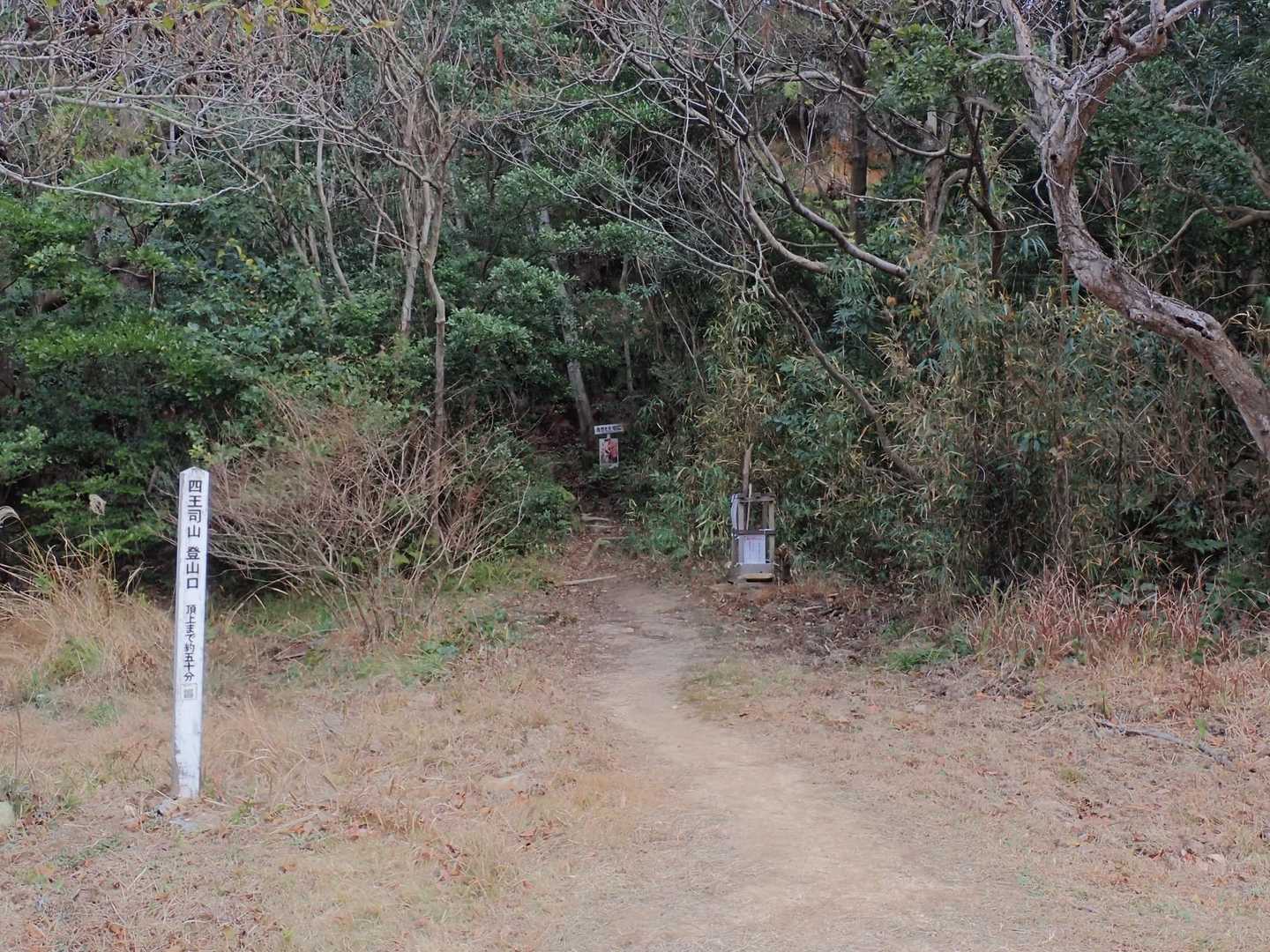 さて、暴飲暴食明け
かつ
前日使い果たした足腰で頑張ってみますかー
