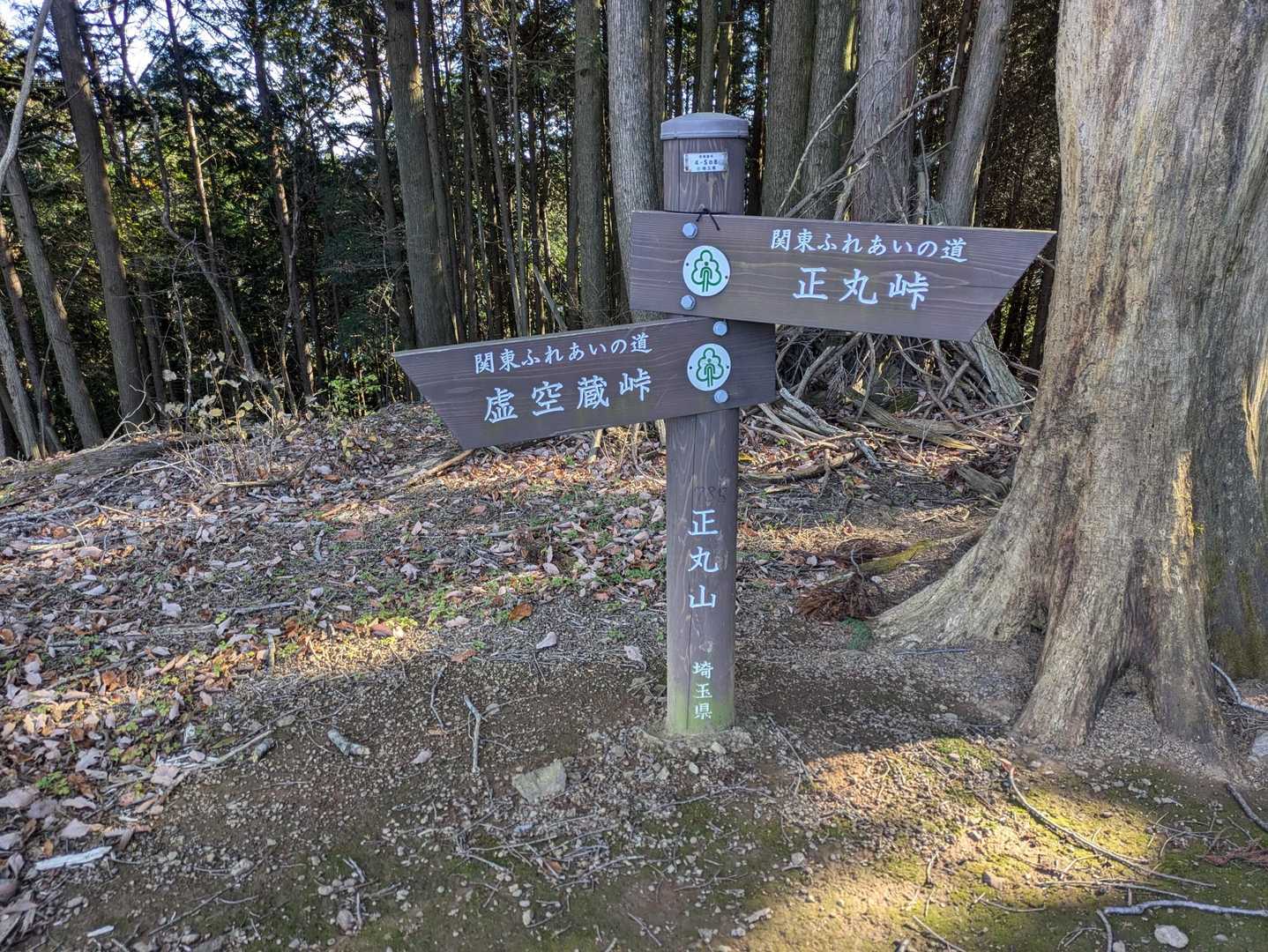 程なく正丸山到着