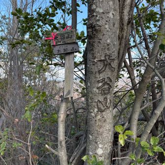⑪オオタニサ〜ン

この後、南大谷山へ激下り💦
道が分かりにくかったです。