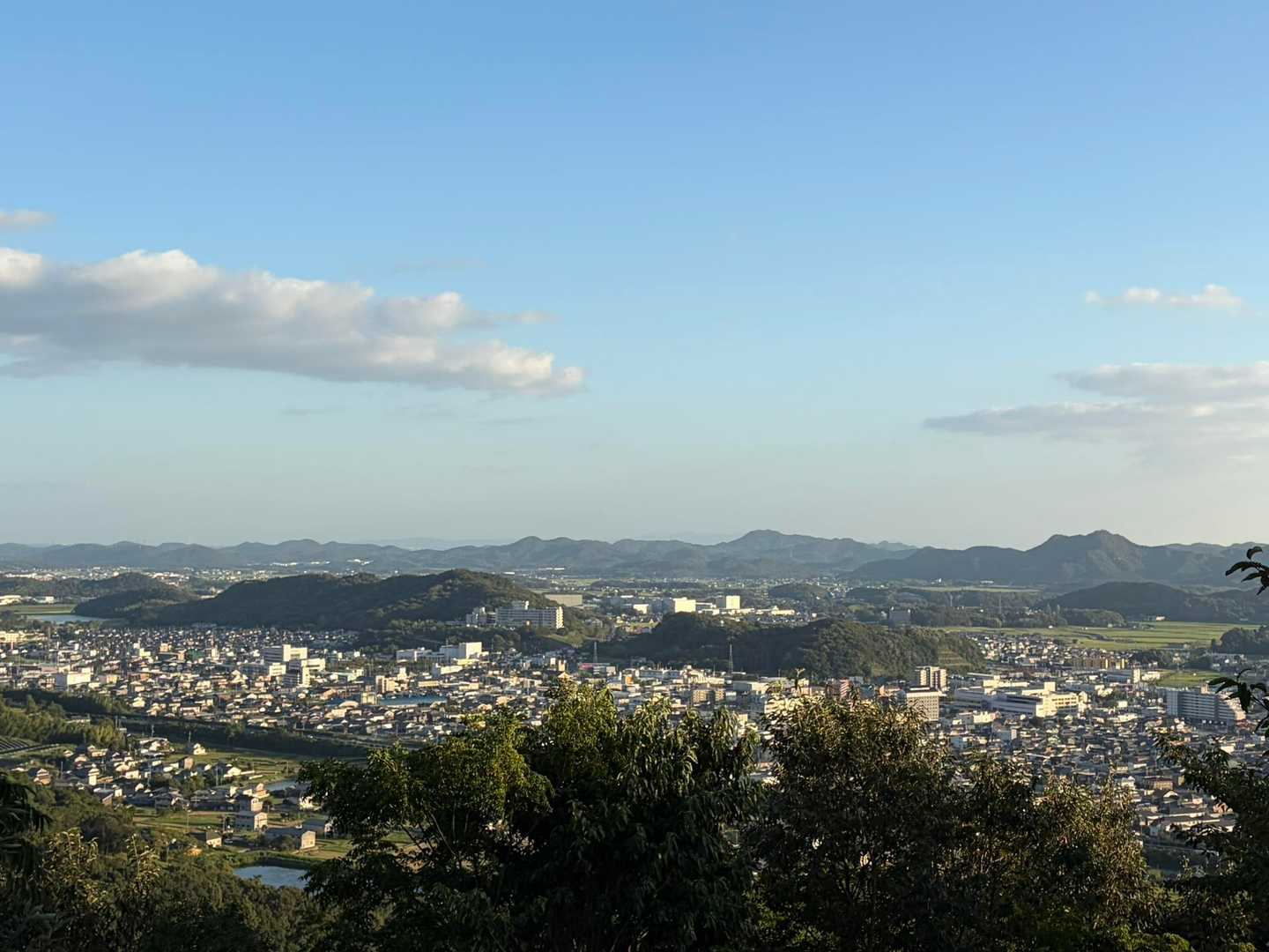 今日は何しに来たんやろ？😞
