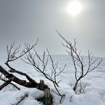 前金剛堂山から10分ほどで中金剛堂山到着🙌