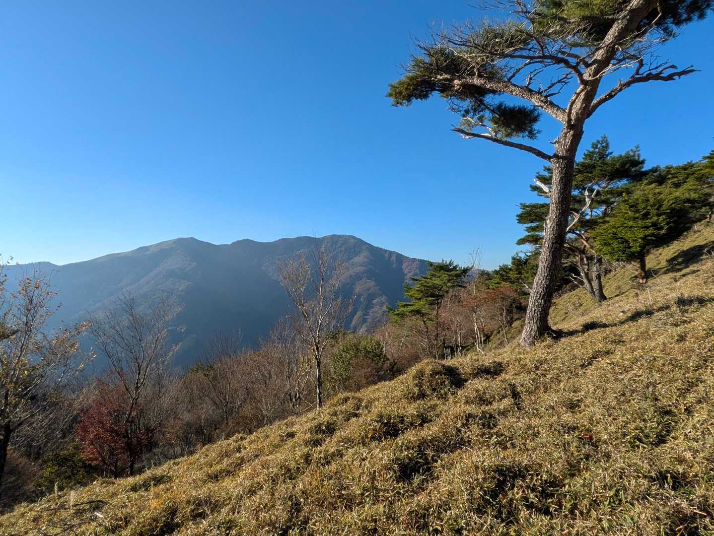 剣山、一ノ森