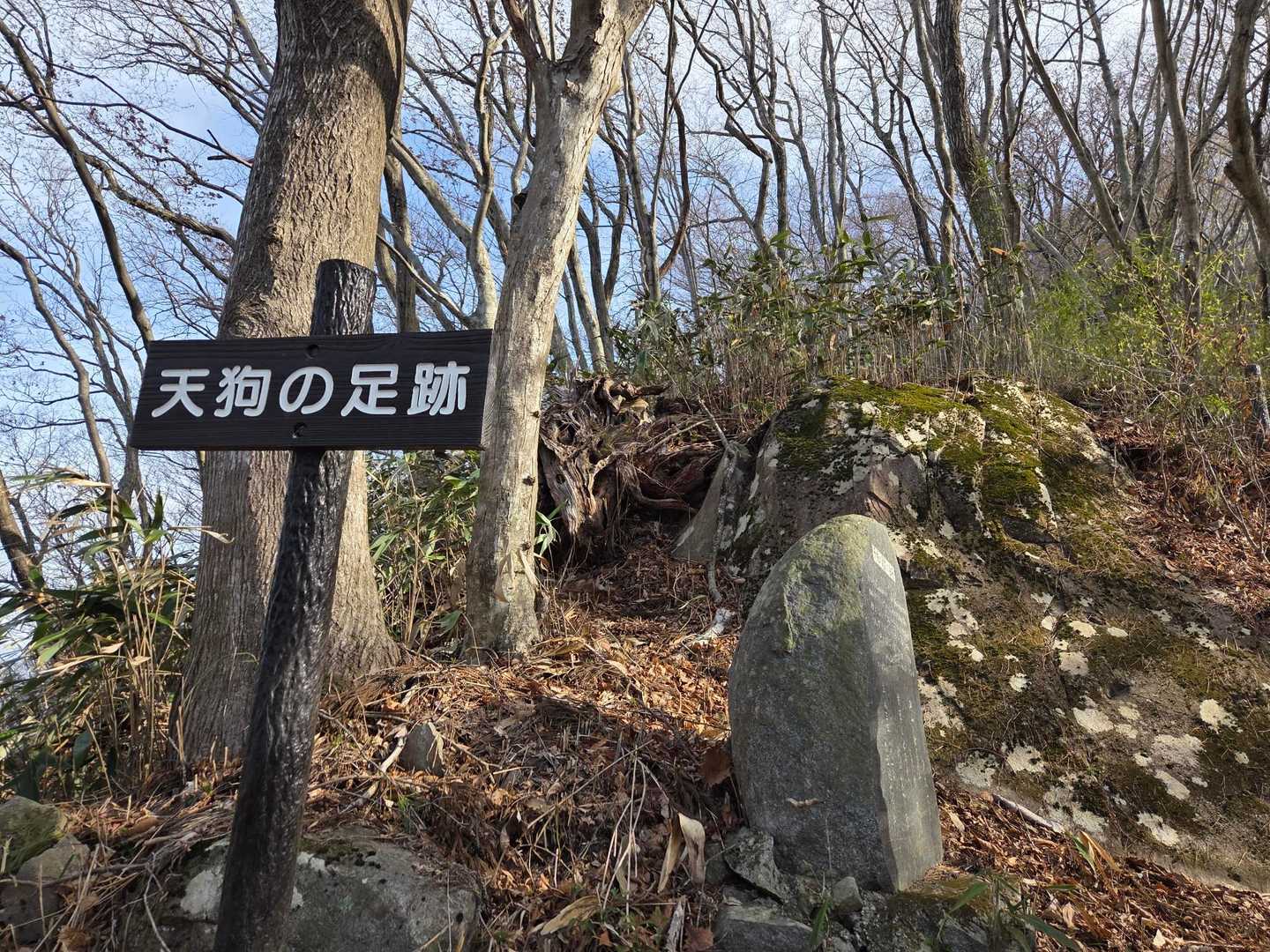 どこが足跡か、わからなかった