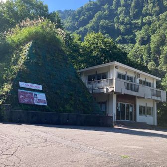 コーハイの仕事の関係で、ボチボチとスタートします。