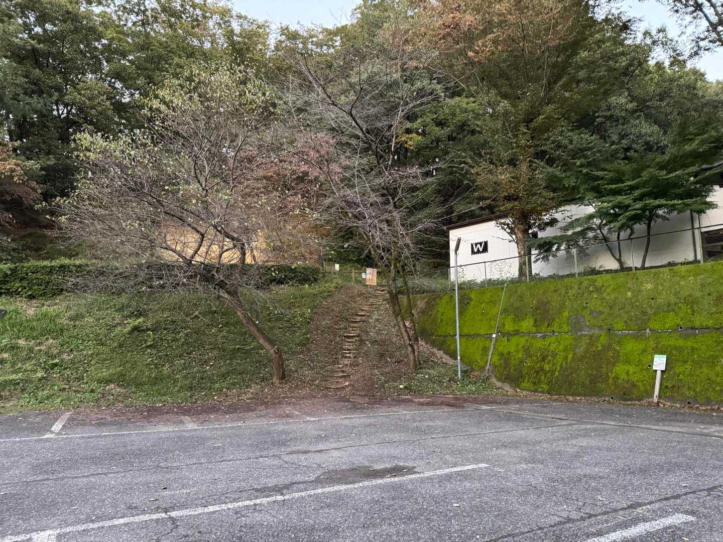 広くて🚻もあります