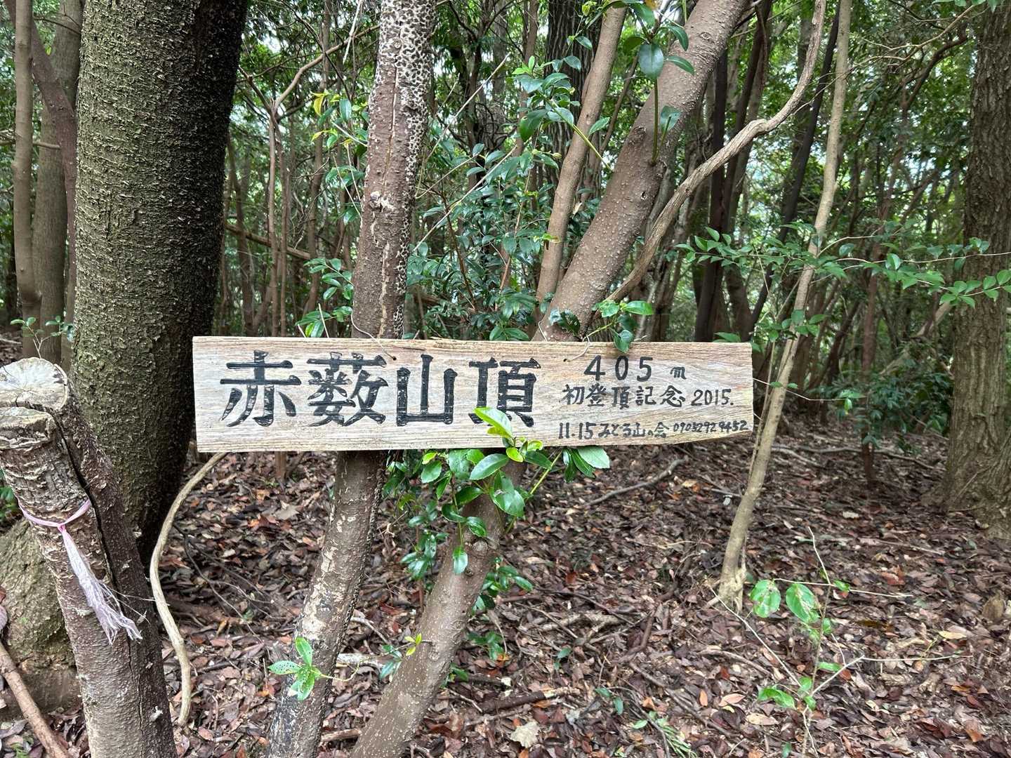 山頂到着⛰️ 景色なし、下山します。