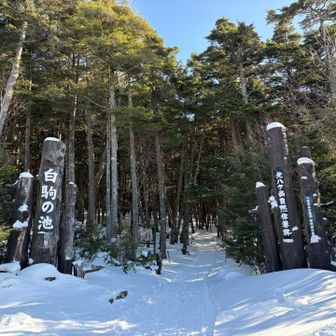 普段最初に撮る写真が、今日は帰りに😅