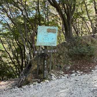 武平峠まで戻って来ました