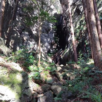 水量ないですが滝もありました