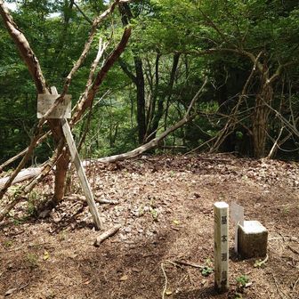 途中には池ノ山があります。