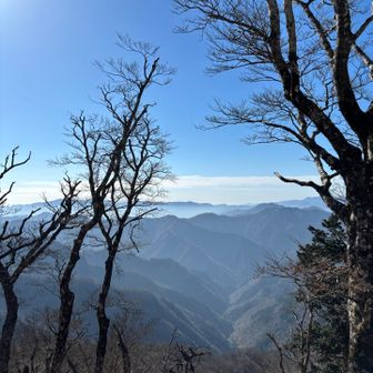前山からの景色
