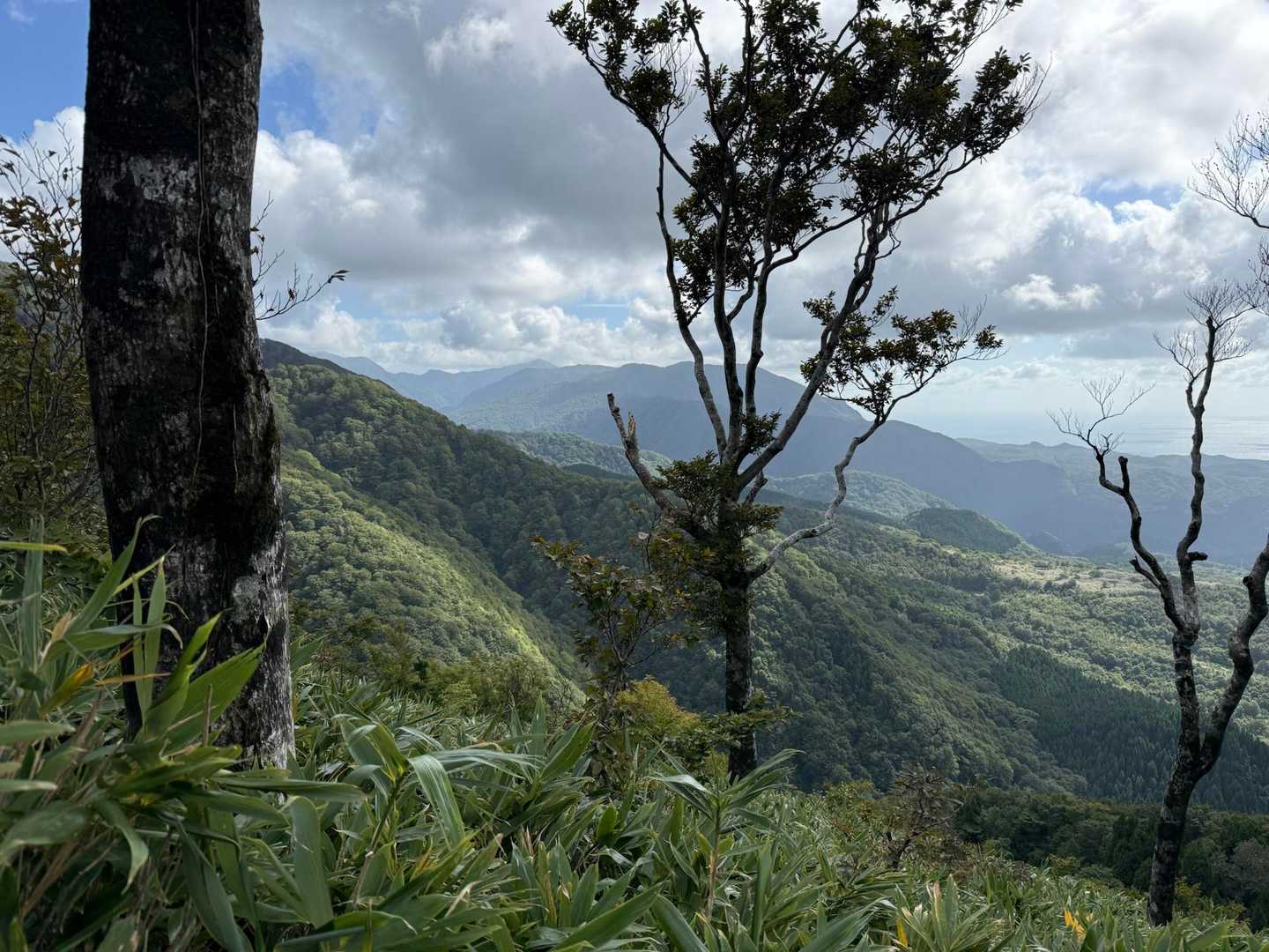 下山中に白神山方面の雲がなくなってた😁