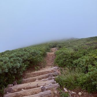 階段下りまーす