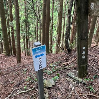 おー ボボフダ峠　なんでボボフダなのか いっぺん聞いたら忘れない　ボボフダ峠デビュー