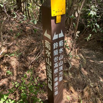分岐点　山頂方面なのに降り？？