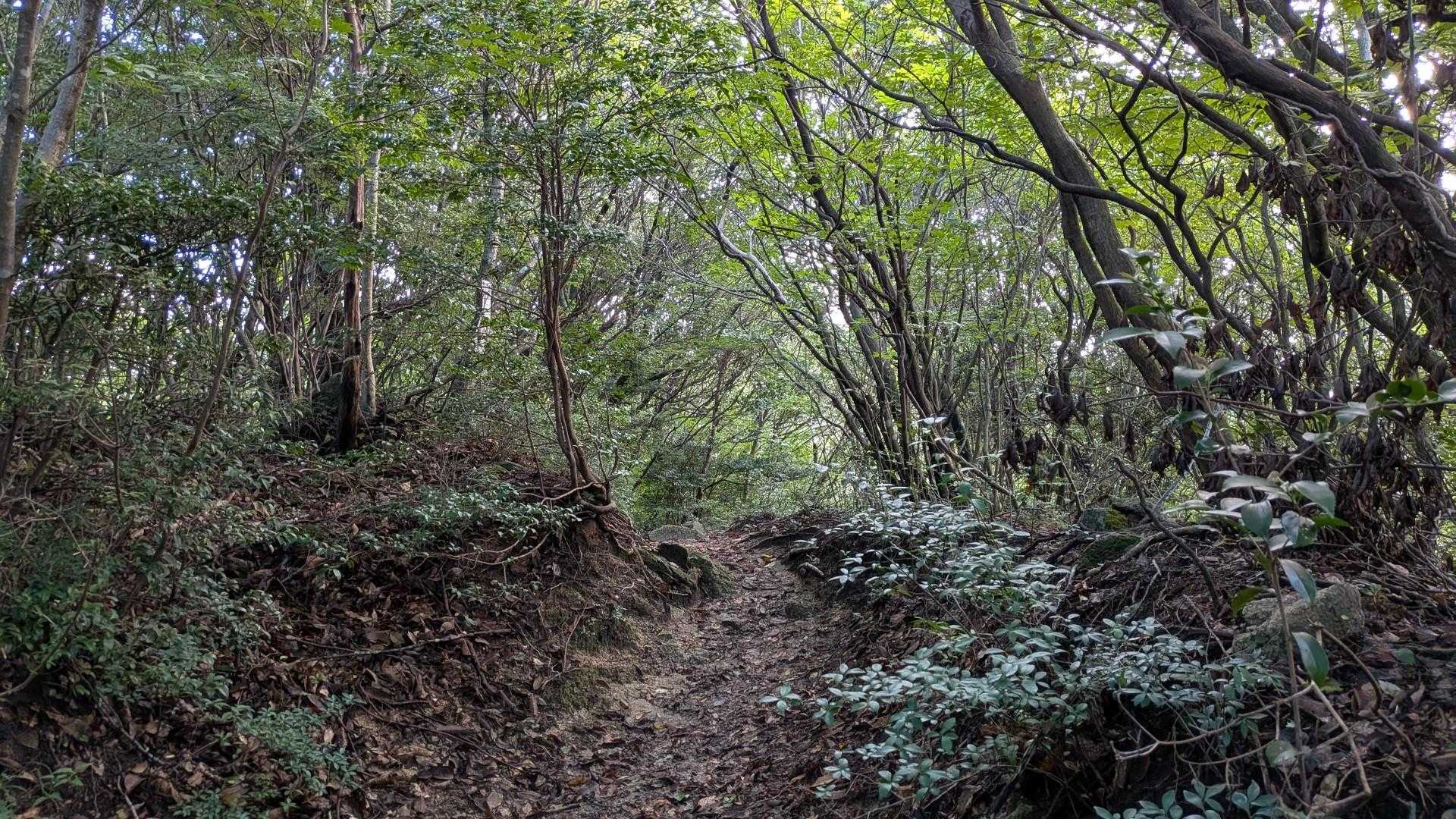 登り切るまで２分
たった２分が辛すぎる😭