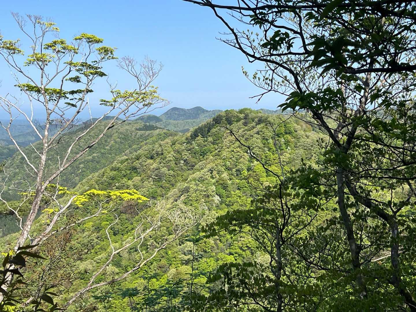 遠くに鞍掛山⛰️⛰️
わかりやすい２つの
コブで可愛い♡