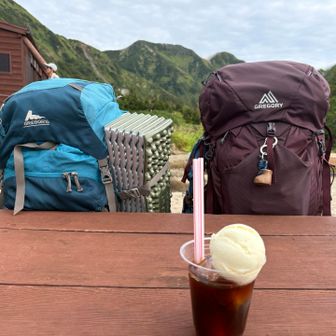 下山はコーヒーフロート1100円。これもアイスうまw