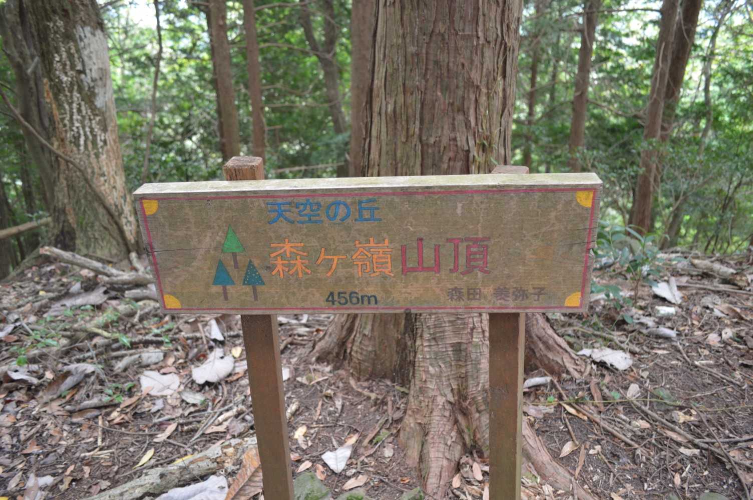 森ヶ嶺山頂⛰️