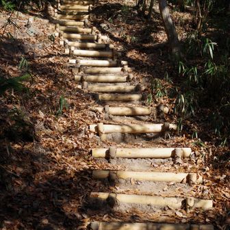 菊水山から鍋蓋山へ。階段が新しくなっている！