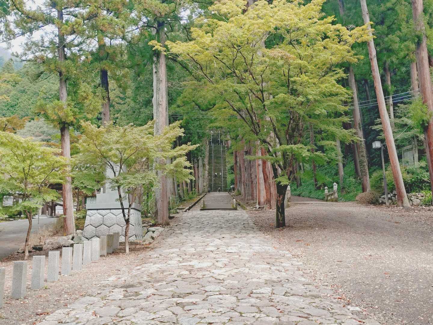 テクテク👣何かヤバそうなのが見えてきた🫡