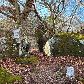 山頂到着🙌くじゅう４６座ピークハント完結！（取りこぼしあったらごめんなさい🙏）