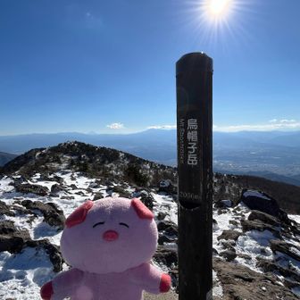 ぶたさんの上の方に富士山が見える