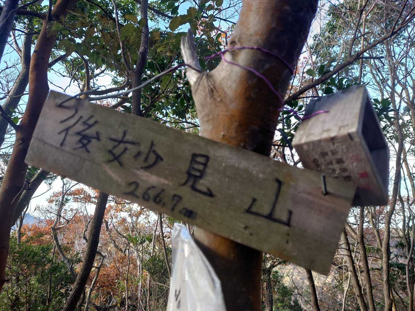 後妙見山山頂には