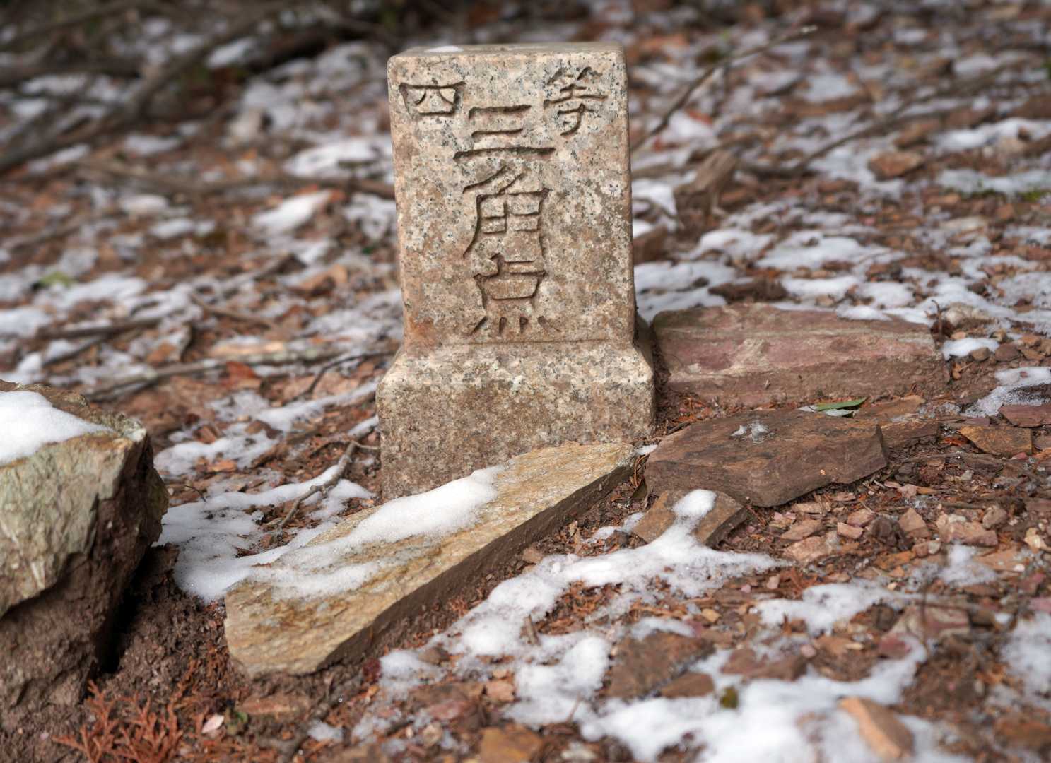 ユルギ山 三角点

等級種別	四等三角点
基準点名	ユルギ山
北緯	34°10′34″.3245
東経	135°25′22″.1149
標高(ｍ)	538.46