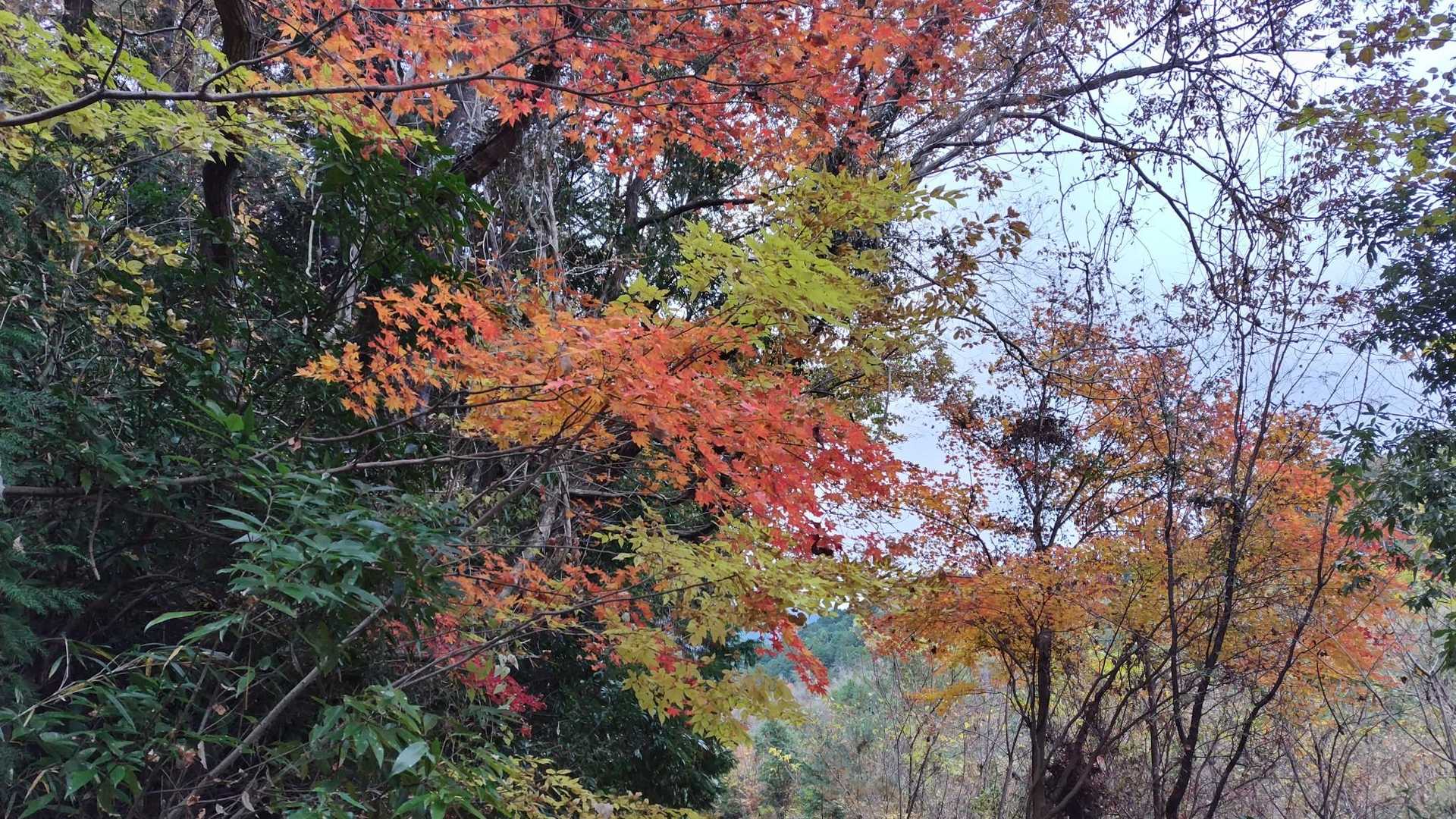無事下山🍁