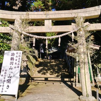 諭鶴羽神社⛩️③
https://yuzuruha.jimdoweb.com/
