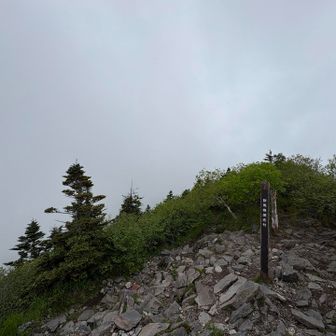 気づけば周りは真っ白。