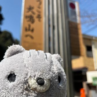 きてぃ嫁代役を出すのを忘れていたので、ここでパシャリ📷