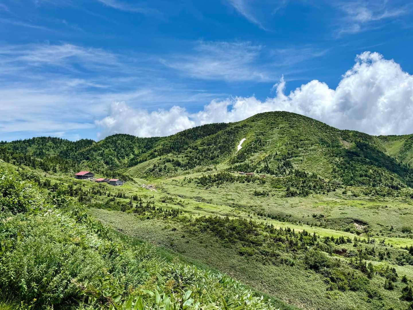 市ノ瀬バス停-猿壁登山口-猿壁登山口-別山-油坂ノ頭-別当 縦走コースの写真