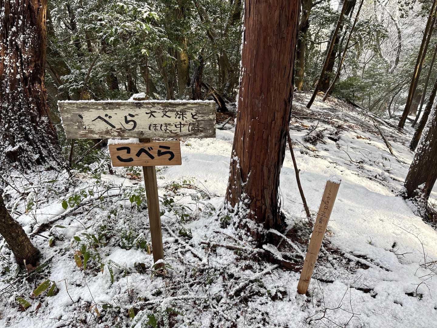 大村登山口-文殊山 往復コースの写真