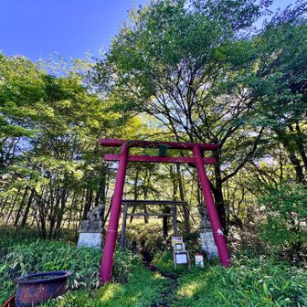 藤原登山口駐車場 スタート▶️

駐車場🅿️一番乗り。
朝露が綺麗です
山の朝は最高ですね〜♪

ただ ただ、
🐻出ませんように… と、祈ります。