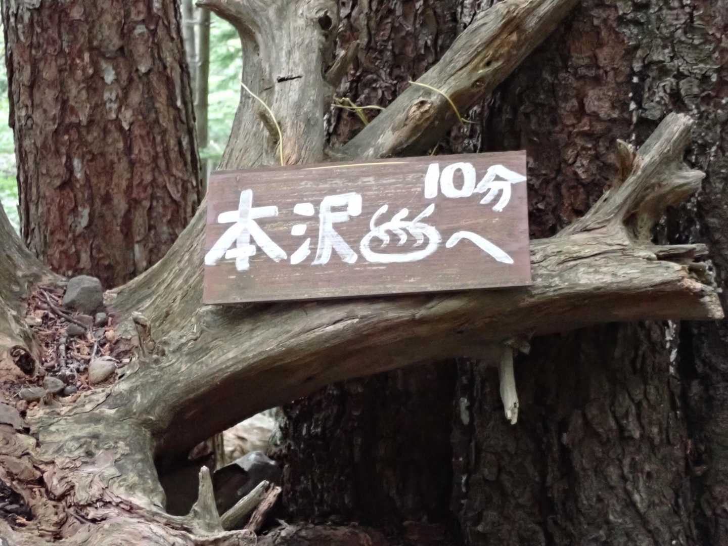 大して標高差無いなら楽かな…って思ったらかなり登ってから下るのね💦