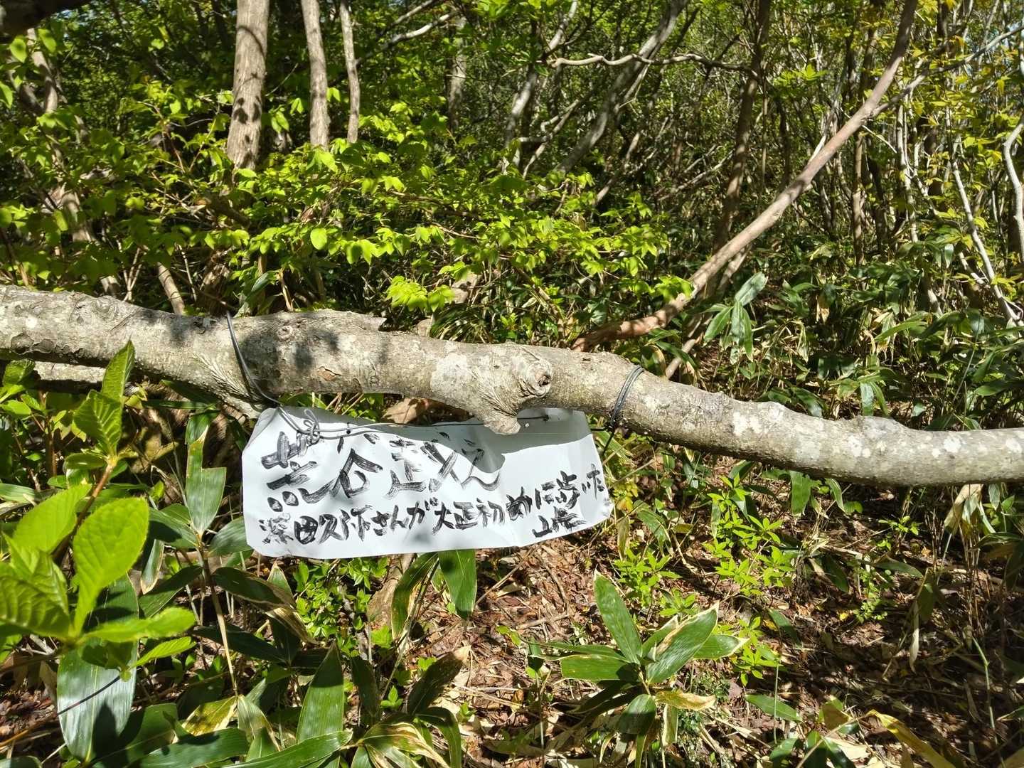 市谷の登山口-蟹ノ目山 周回コースの写真