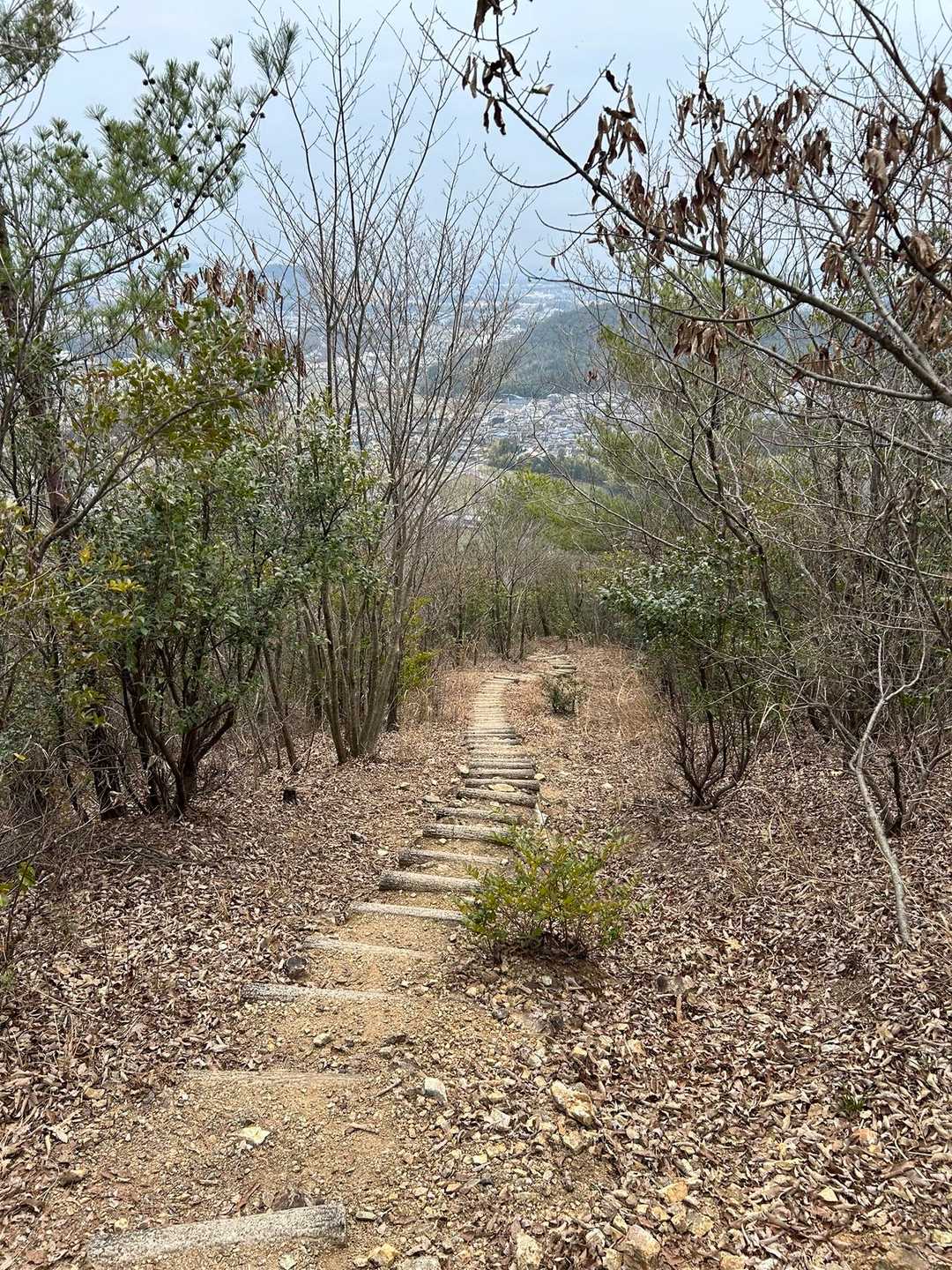 東登山口までずっとこんな感じなので逆回りだったらキツイだろうなぁ〜😅