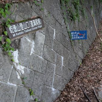徳和峠。ここからは舗装路です