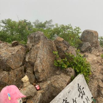 猫魔に戻ってきました！
天気イマイチだけど今日も良い山行でした！
雄国沼湿原のニッコウキスゲ✨️良かった〜
また来年も来なくちゃ、ですね💕︎
お疲れ山😊また来週〜
(まだ2.5kmあるよ！終わりじゃないよ💦)