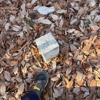 それでもどないかして（どないしたかはお察し下さい）
長尾山🩶ピーク⛰️GET👍✨